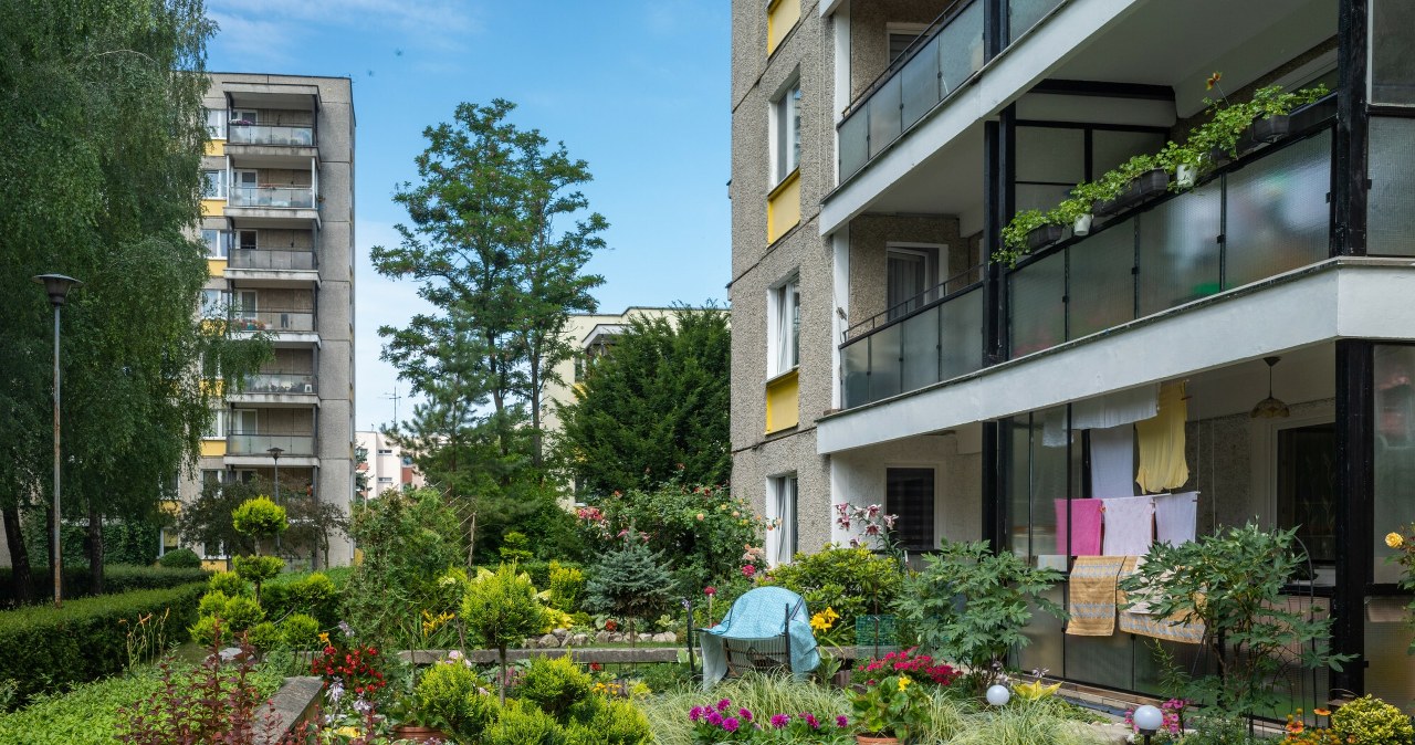 Sodininkaujate prie daugiabučio? Šių augalų nesodinkite – „bendrija“ gali liepti pašalinti
