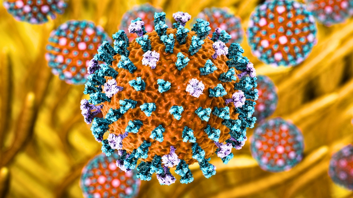 Pirmasis H9N2 paukščių gripo atvejis Europoje: Italija patvirtino žmogaus užsikrėtimą