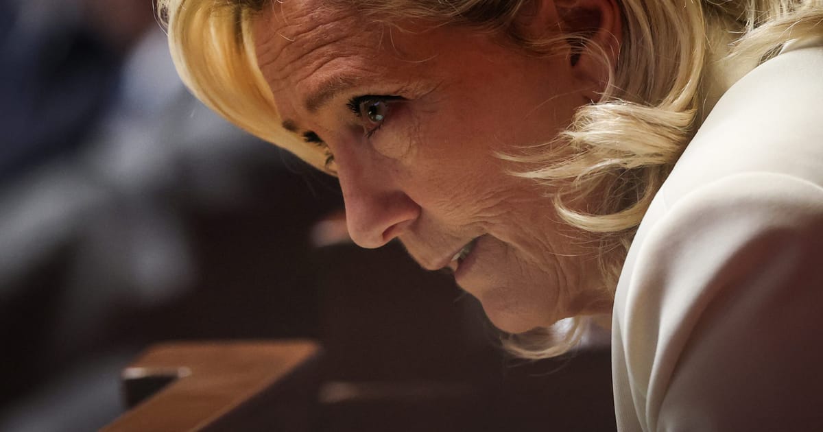 Le Pen smogia Trumpui ir „didiesiems naftininkams“: kas kaltas dėl kainų šuolio Prancūzijoje?