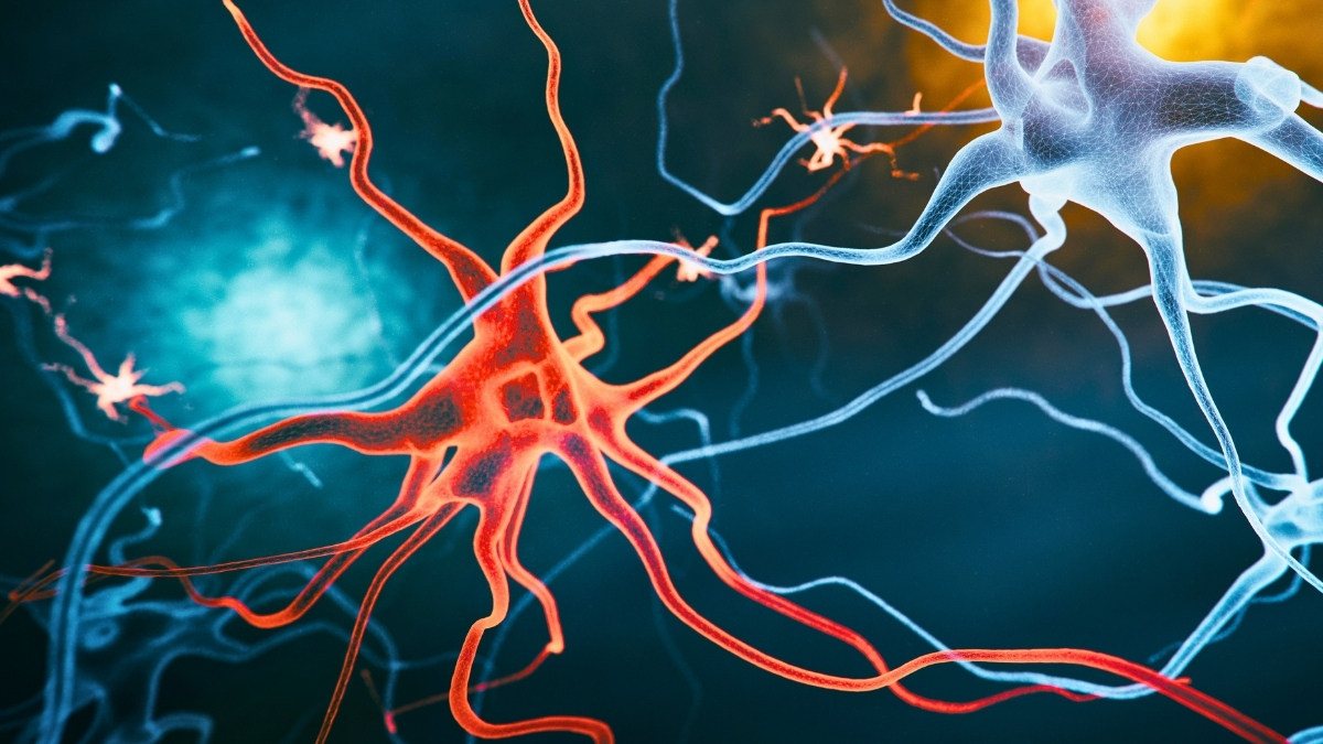 Mokslininkai rado naują kelią prieš Alzheimerį: pelių atmintis atsistatė, o taikinys – visai kitas