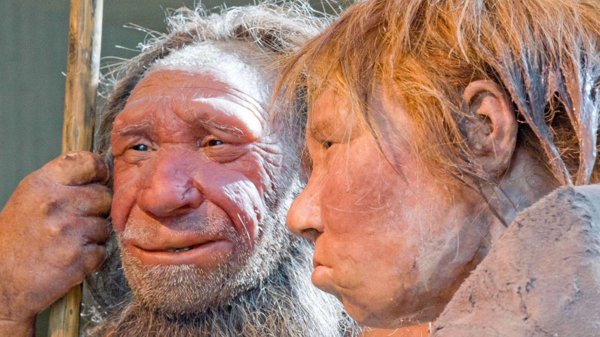 Mokslininkai atskleidė, kodėl iš mūsų X chromosomos dingo neandertaliečių DNR