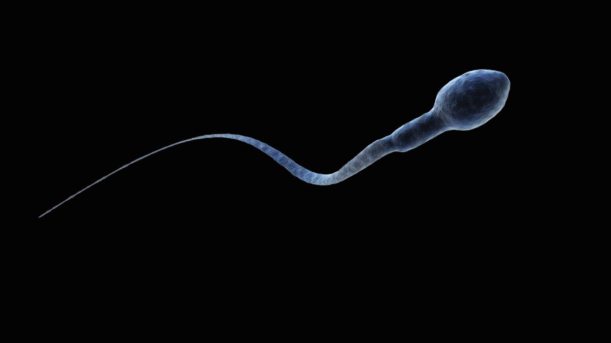 Mokslininkų išvada kelia nerimą: nesvarumo būsenoje sperma pasimeta ir tai keičia planus