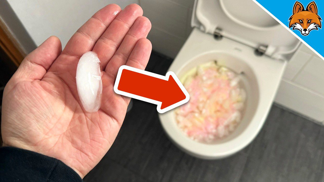 Supylė į klozetą pilną padėklą ledo – po 30 min. apnašos dingo, kvapai išsivėdino