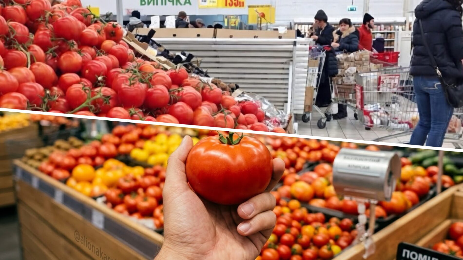 Beveik 300 grivinų už kilogramą: kodėl Ukrainoje pomidorai brangsta net prieš sezoną