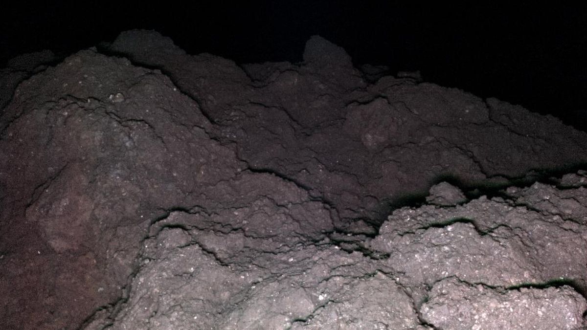 Asteroidas „Ryugu“ atskleidė 5 gyvybės kodą kuriančias medžiagas – ką tai reiškia Žemei