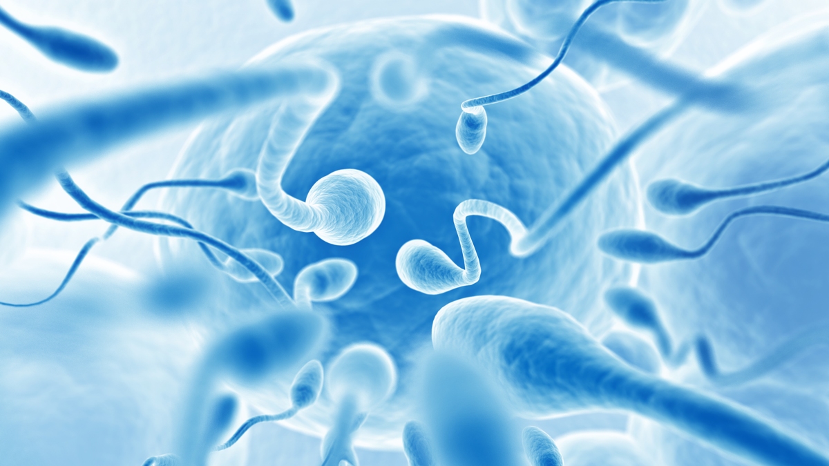 Tyrimas stebina: dažnesnė ejakuliacija gali pagerinti spermos kokybę ir IVF sėkmę
