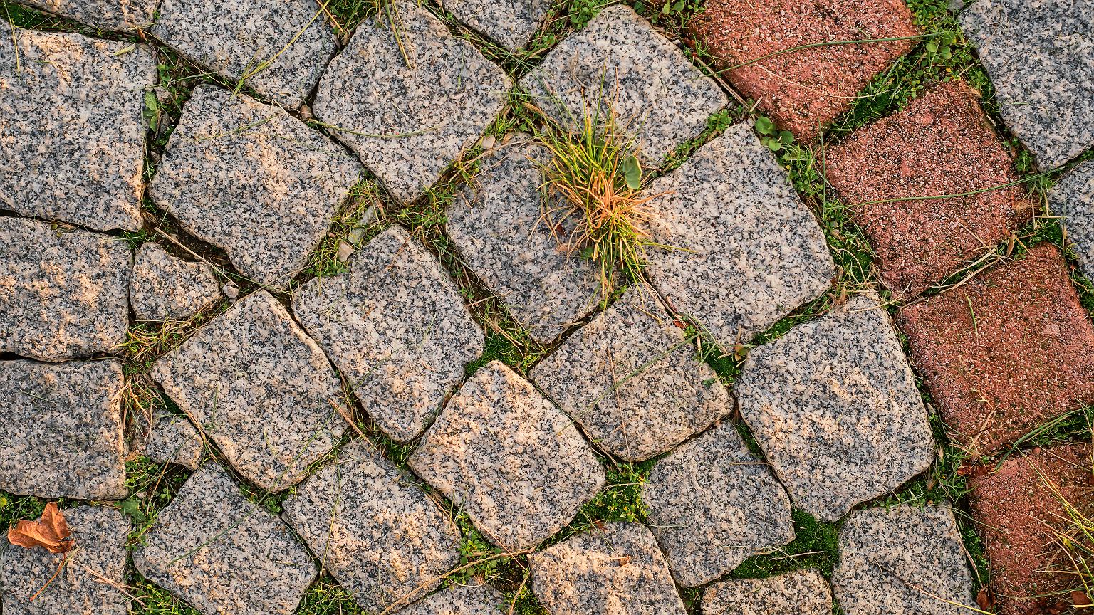 Išpilkite ant trinkelių, o ne gerkite: šis gėrimas dėmes nuvalo greičiau už chemiją