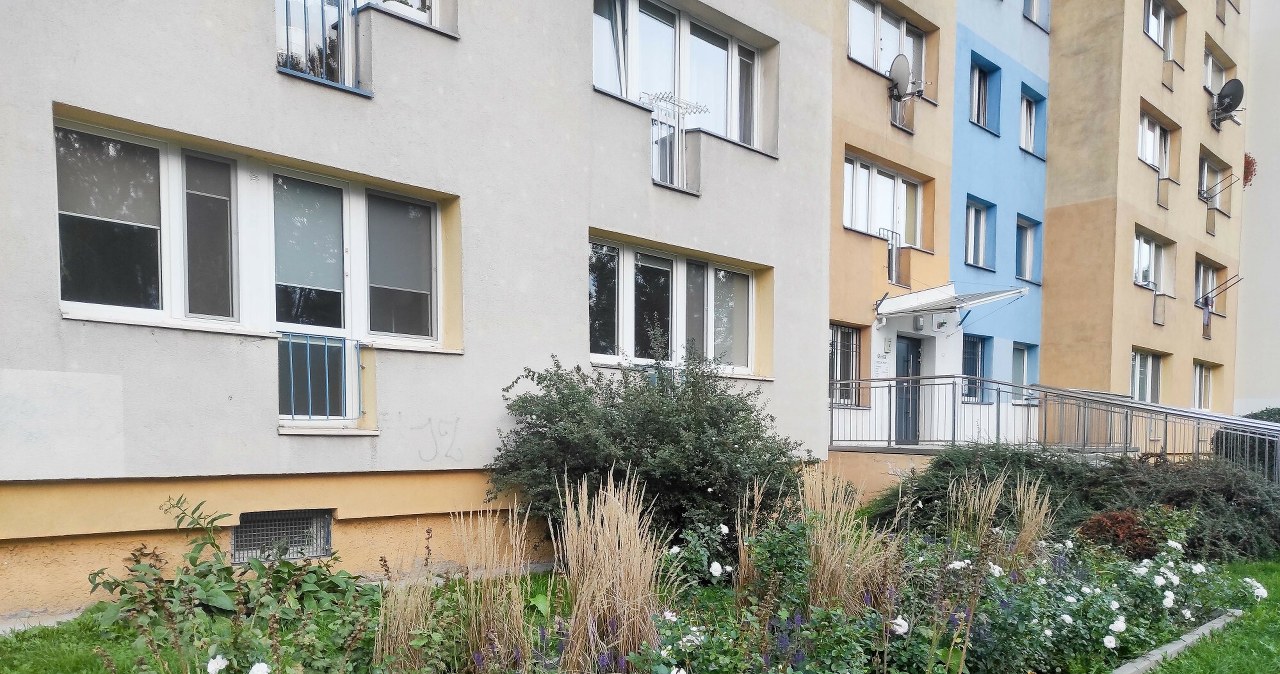 Darželis po daugiabučio langais: kada tai teisėta ir kada bendrija gali liepti viską panaikinti