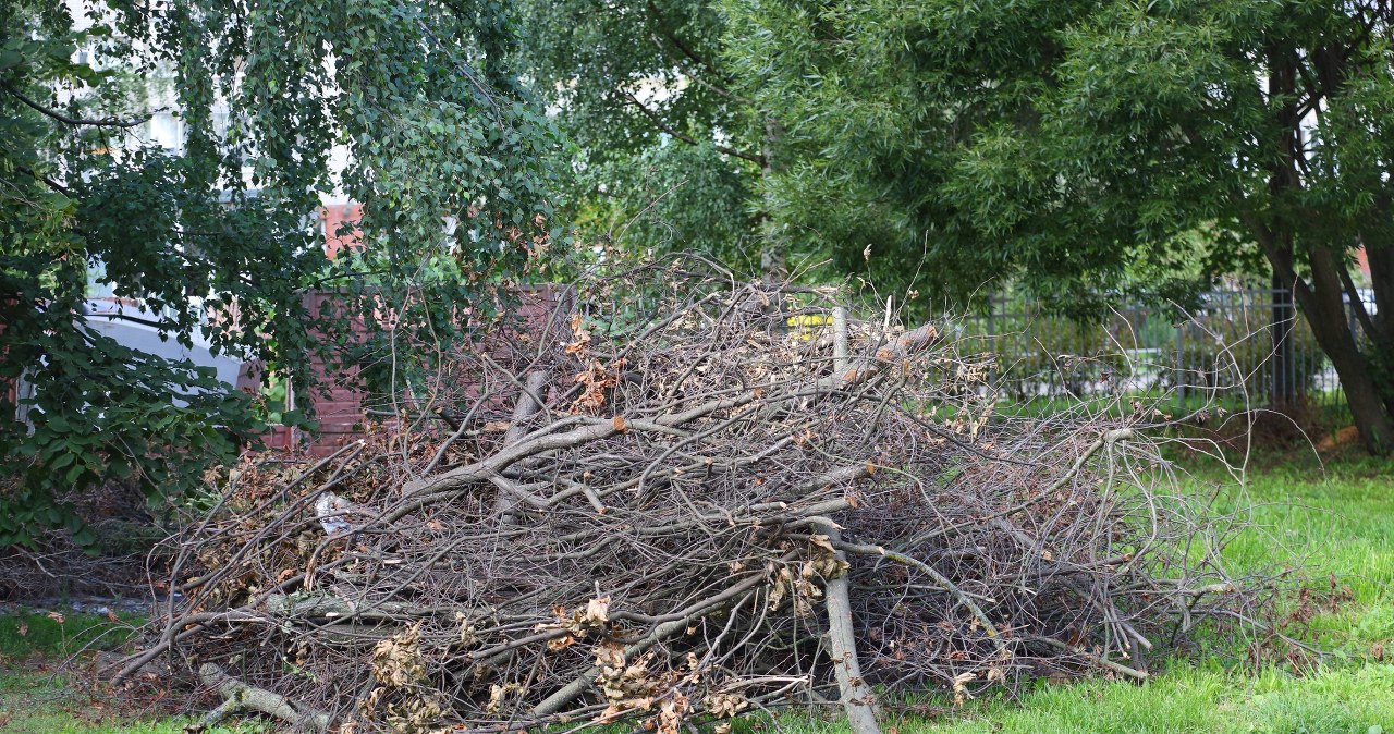 Vienas laužo kūrimo pažeidimas – ir bauda iki 1 150 eurų: taisyklės aiškios