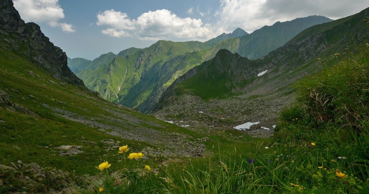 Šie Rumunijos kalnai vadinami laukiniausiais Europoje: 70 km ketera ir lokių karalystė