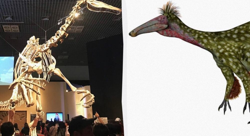 Argentinoje piemens atsitiktinai rado 155 mln. metų senumo milžiniško dinozauro liekanas