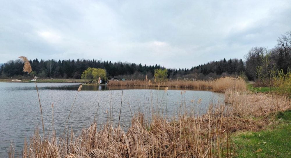 Nustebsite, ką rasite netoli Truskaveco: ramus žygis per mišką iki Dobrhostovo ežero