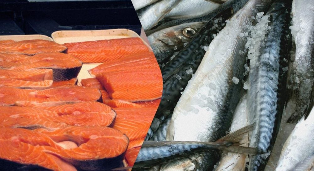 Lašiša ar skumbrė: kuo jos skiriasi ir kuri riebioji žuvis iš tiesų naudingesnė?
