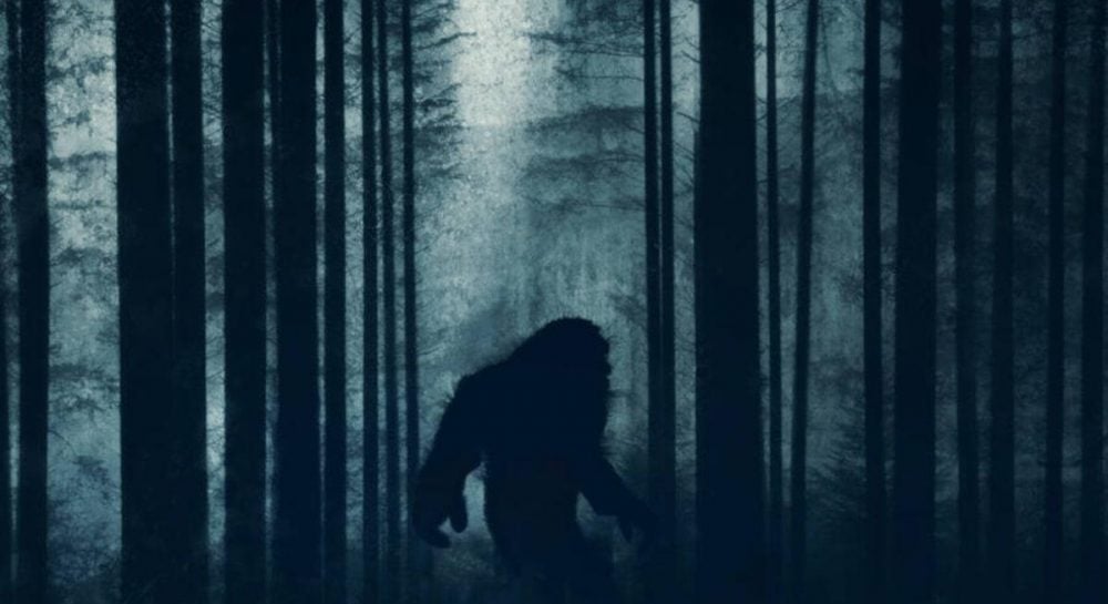 FBI archyvuose – 1976–1977 metų byla apie „Bigfoot“: ištirta vilna nustebino tyrėjus