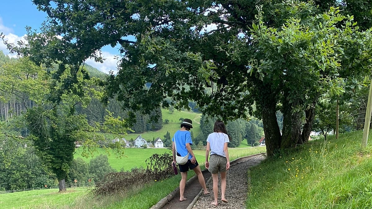 Vokietijos basakojų žygio takai traukia turistus: nuo Juodojo miško idėja keliasi ir į JAV