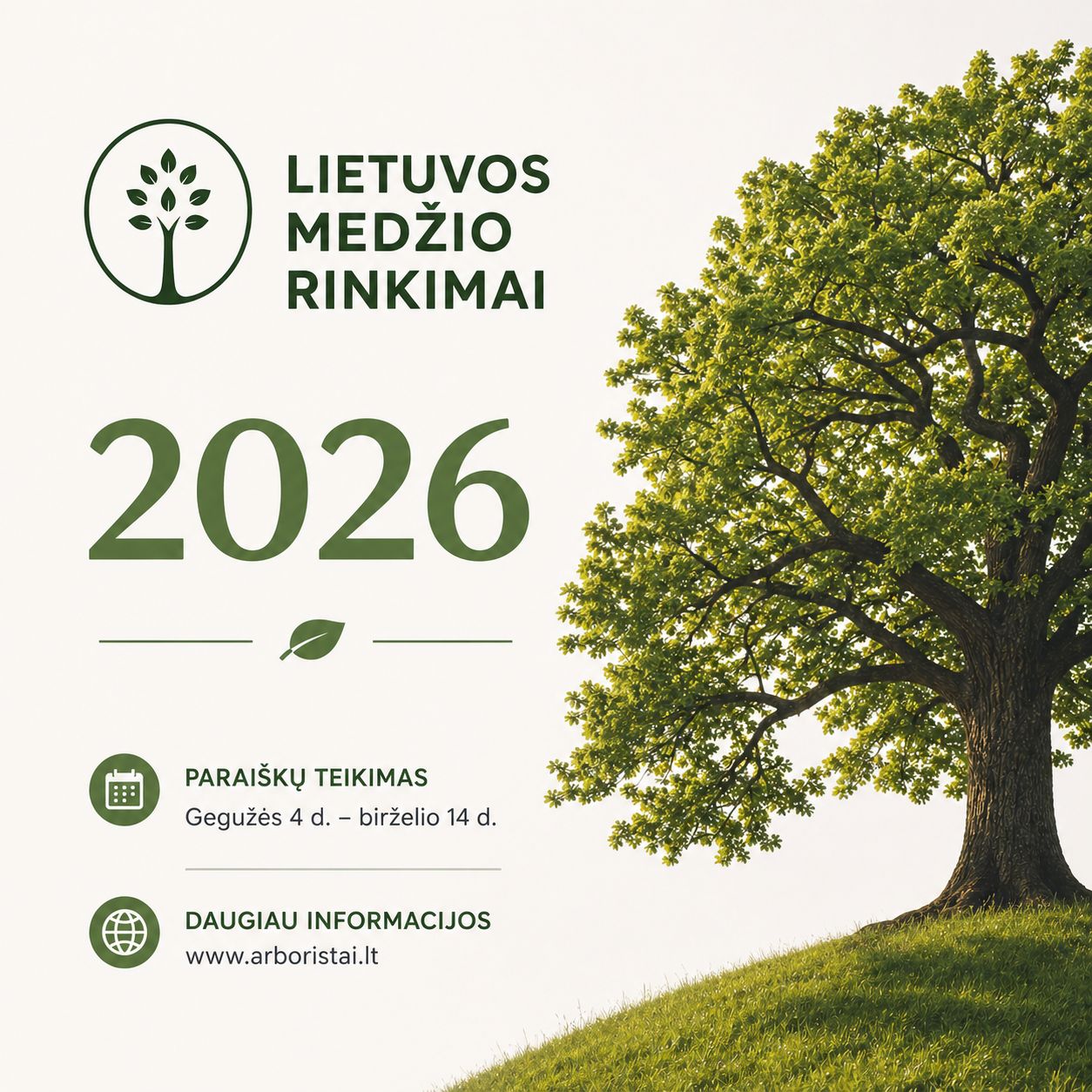 Lietuvos medžio rinkimai 2026: prasideda paraiškų teikimas, balsavimas rudenį