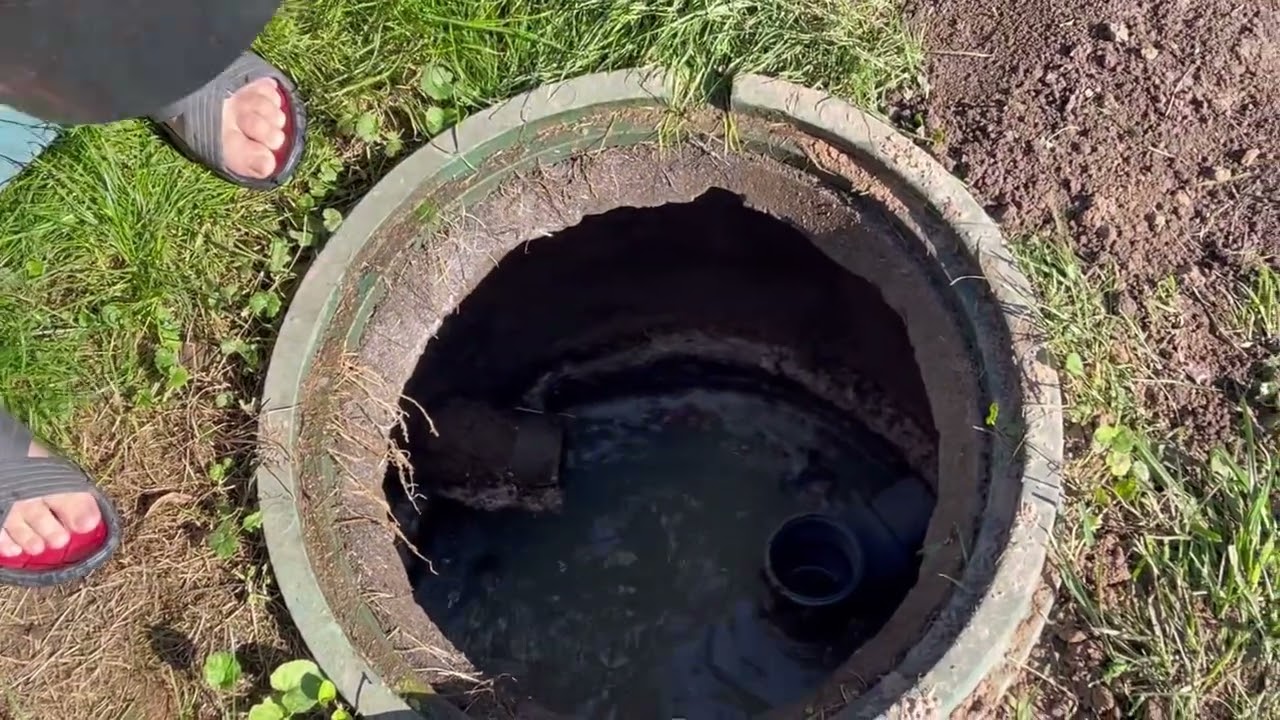 Į septiką įmetė 1 miško grybą – 365 dienas be kvapo ir atsiurbimo: kas iš tiesų veikia