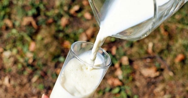 Mitybos specialistai įspėja: dažnas nenugriebto pieno vartojimas gali ir padėti, ir pakenkti