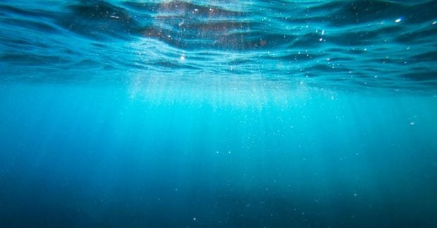 Japonijos mokslininkai aptiko paslėptą 3 mln. metų senumo ugnikalnį Ramiojo vandenyno dugne