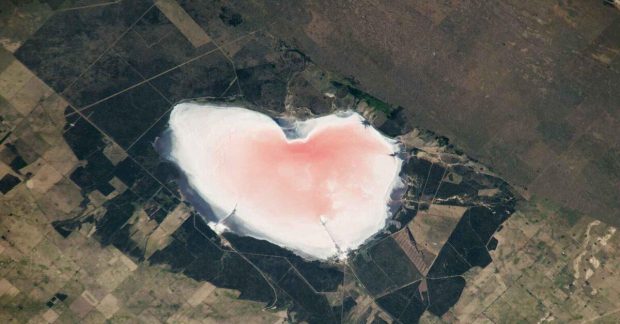 NASA iš kosmoso užfiksavo rožinę širdį Argentinoje: spalvą lemia druska ir mikroorganizmai