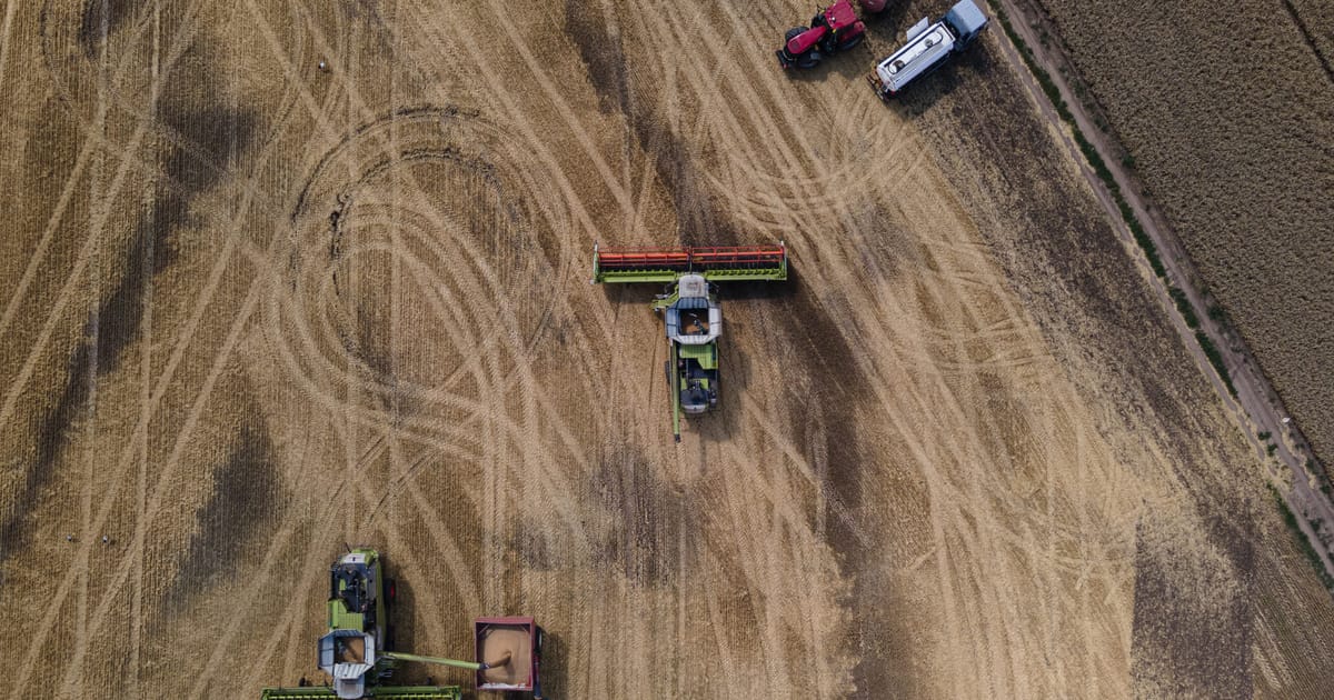 Zelenskis skelbia: Egiptas nebepriims Rusijos parduodamų Ukrainos grūdų iš okupuotų žemių