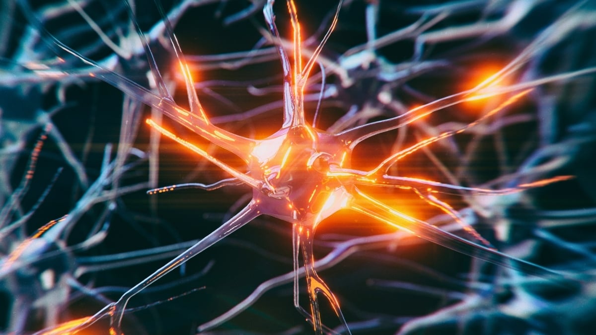 Mokslininkai įspėja: Alzheimerio pokyčiai prasideda jau 30-mečiams – ar padėtų klajoklis nervas?