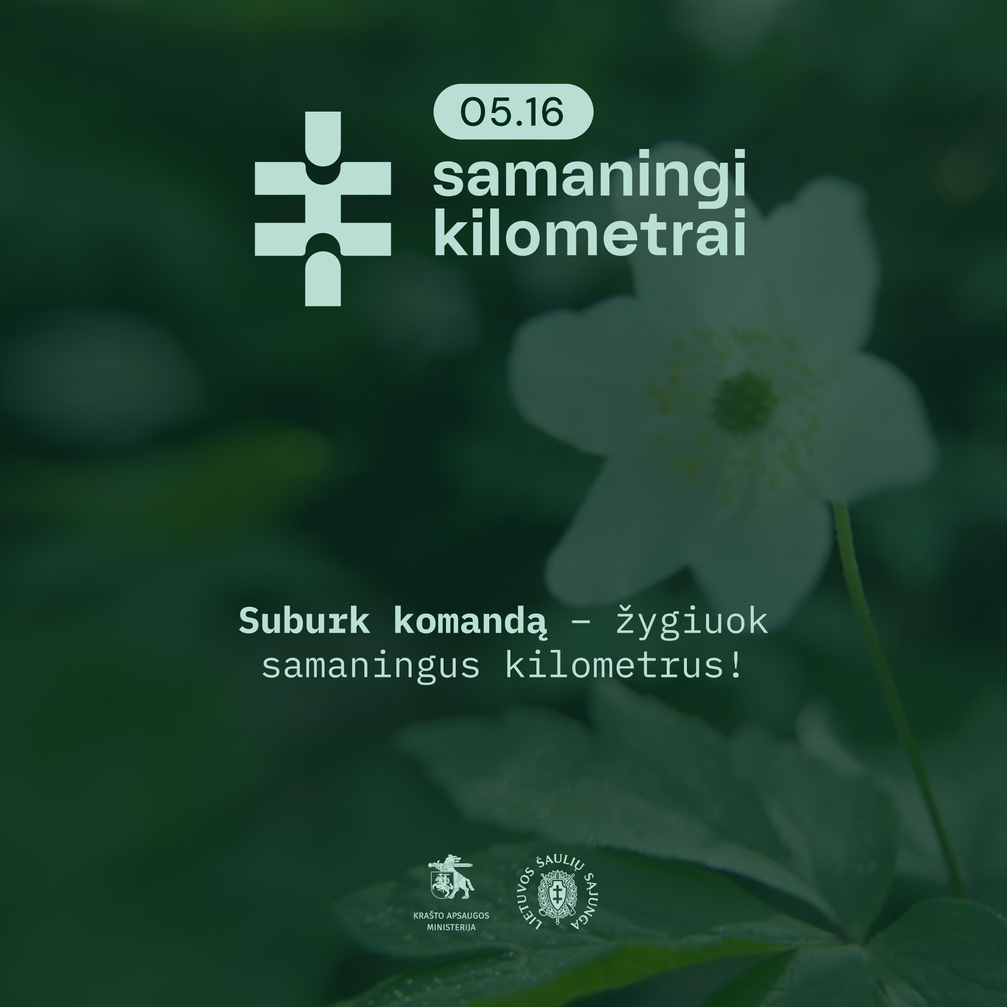 „Samaningi kilometrai“ plečiasi į Europą ir JAV: gegužės 16 dieną kviečia žygiuoti partizanų takais