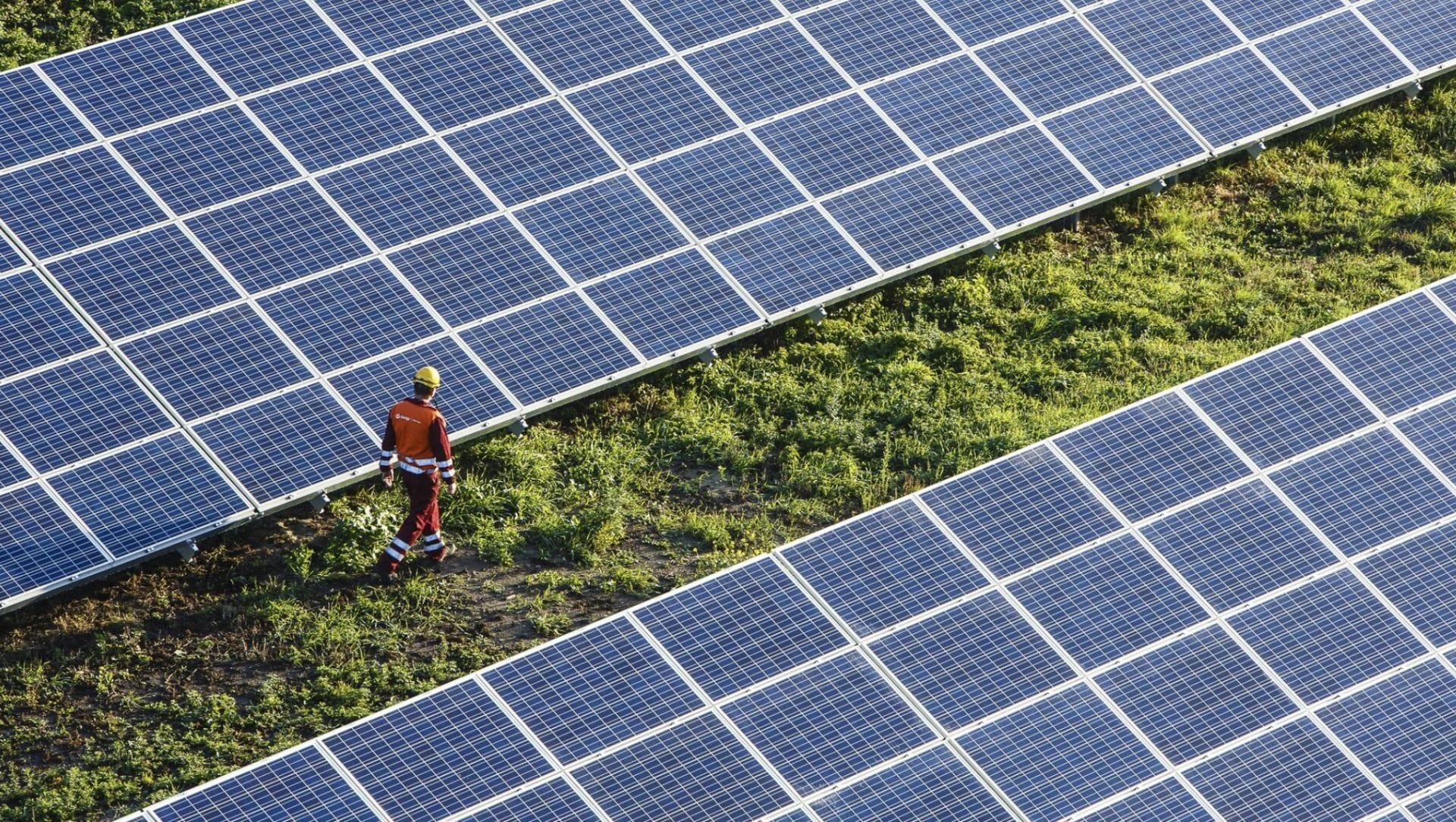 Lenkijoje prijungta 39,9 MW Łosienice saulės elektrinė: „Energa“ pradeda bandymus