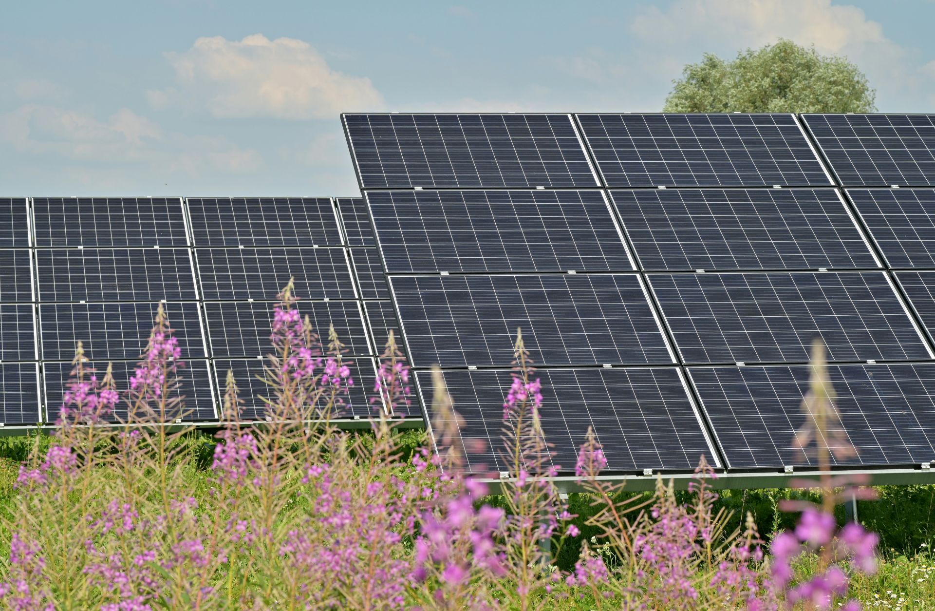 ERPB skiria 34 mln. eurų Rumunijos saulės parkams: 190 MW projektas keičia rinką