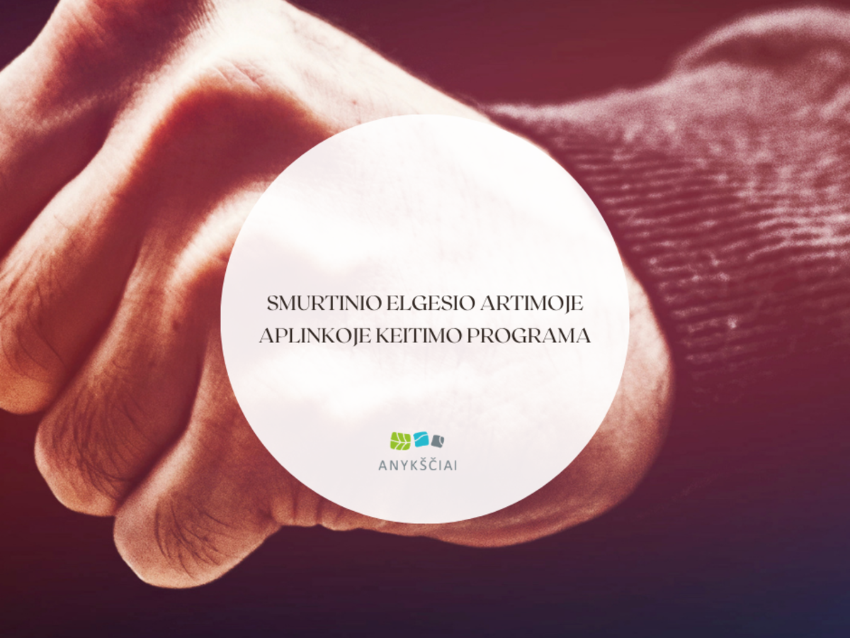 Anykščių rajone startuoja registracija į smurtinio elgesio artimoje aplinkoje keitimo programą
