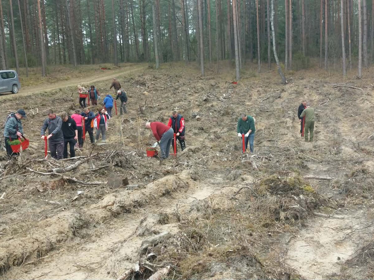 Nacionalinis miškasodis Dzūkijoje: Veisiejų ir Kapčiamiesčio bendruomenės pasodino ąžuolus Adamkui