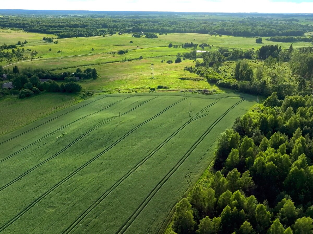 Vilniaus rajone – beveik 1 mln. eurų aplinkai: oro stotelės, atliekos ir kova su invazijomis