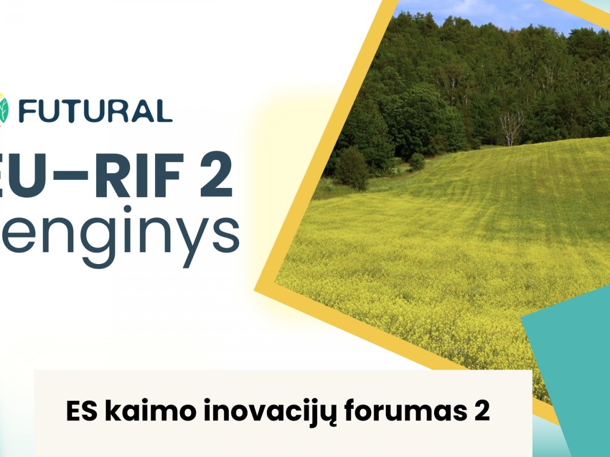 Jonavos forumas atskleis, kaip išmanūs kaimai keičia Baltijos regioną ir jo ateitį