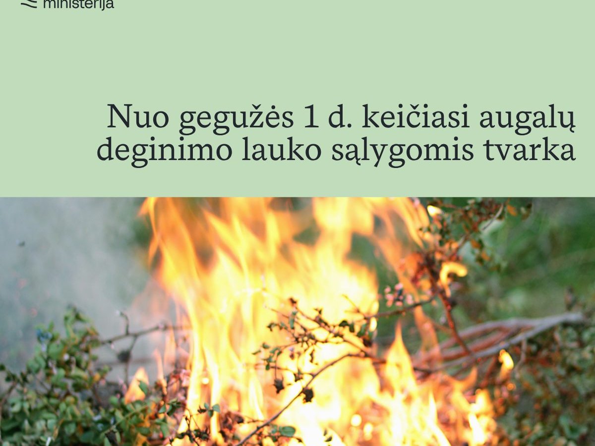 Nuo gegužės 1 dienos griežtinama augalų deginimo tvarka: kur draudžiama, o kur dar bus išimčių