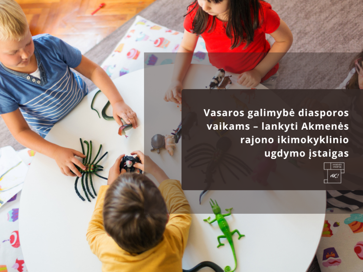 Diasporos vaikams netikėta naujiena: Akmenės rajone vasarą atvers darželių duris