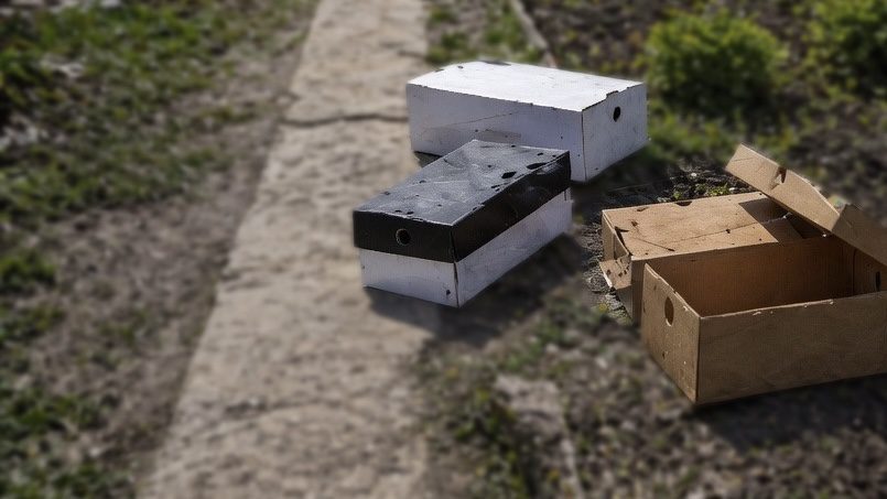 Neišmeskite batų dėžių: 3 pavasario triukai, kurie sode padeda sutaupyti laiko ir pinigų