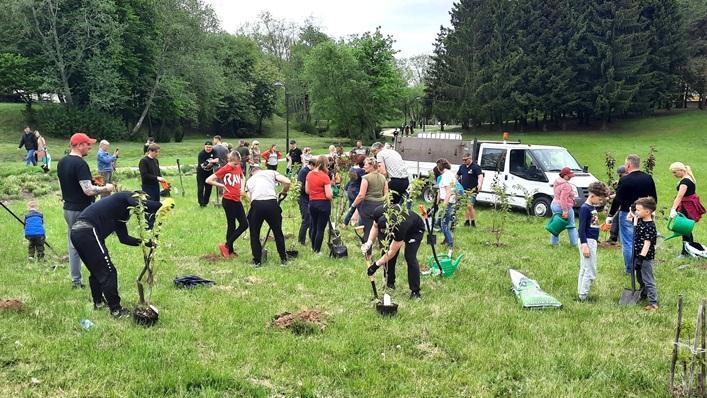 Kretinga kviečia sodinti 773 medžius ir krūmus: kur vyks akcija ir ko nepamiršti atsinešti