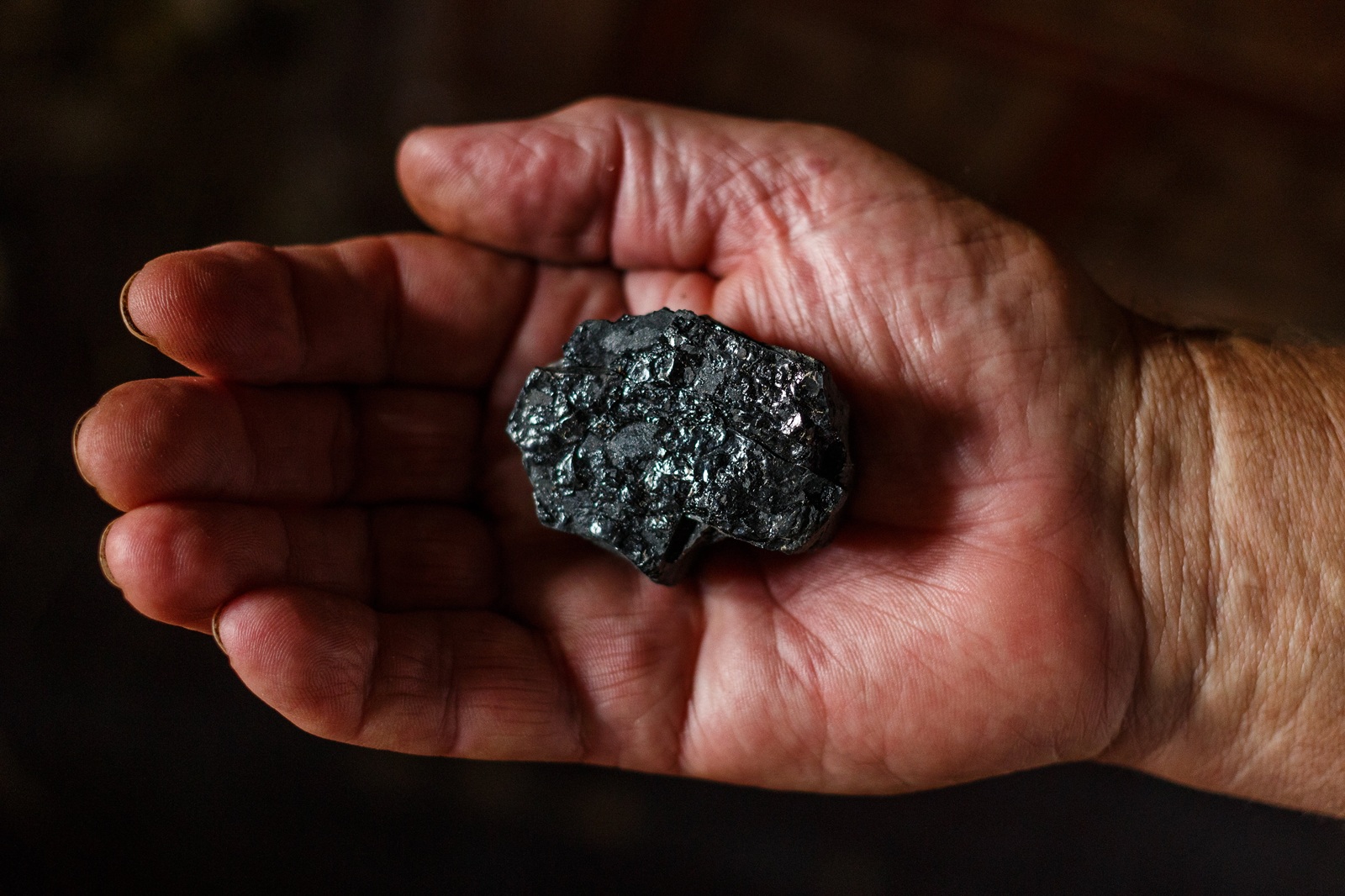 Geologo darbas pribloškia: nuo Borneo džiunglių iki kosminių mėginių ir naujų mineralų