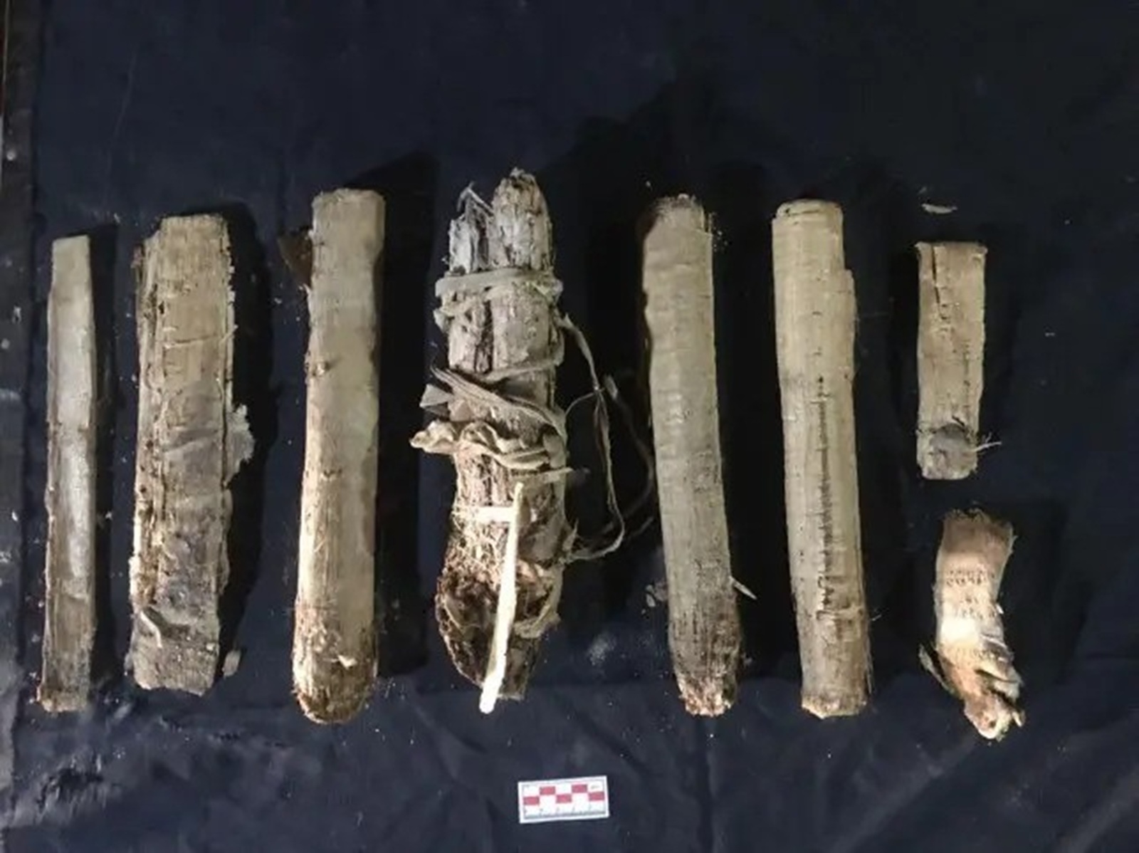 Prie Nilo rasti 3000 metų senumo Egipto papirusai: jų paslaptis kol kas neįmenama