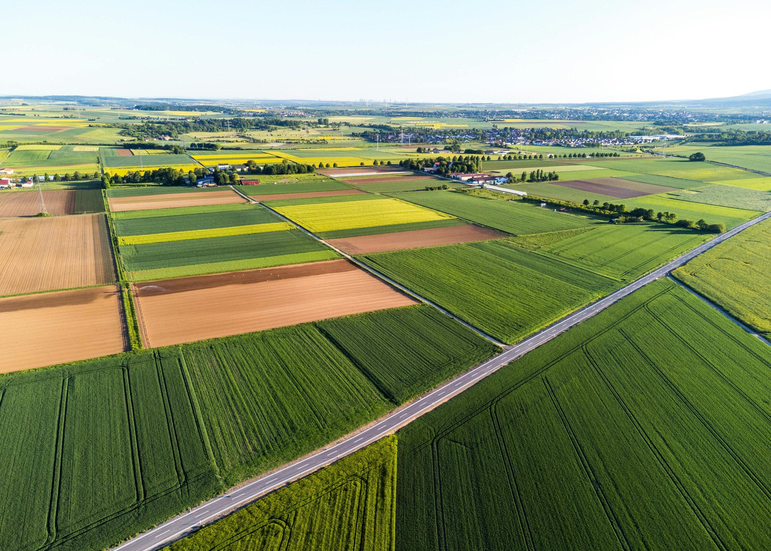 Pasėlių deklaravimas jau ant nosies: šios datos ir klaidos, dėl kurių netenkama išmokų