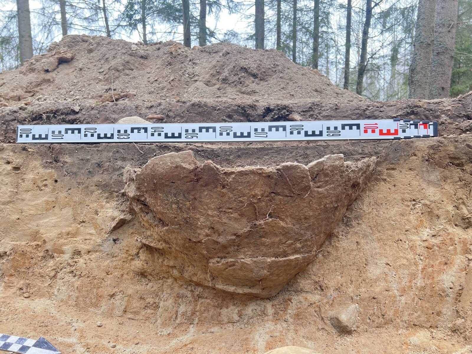 Tūkstantmečių paslaptis miško glūdumoje: lenkų archeologai aptiko netikėtą radinių lobį