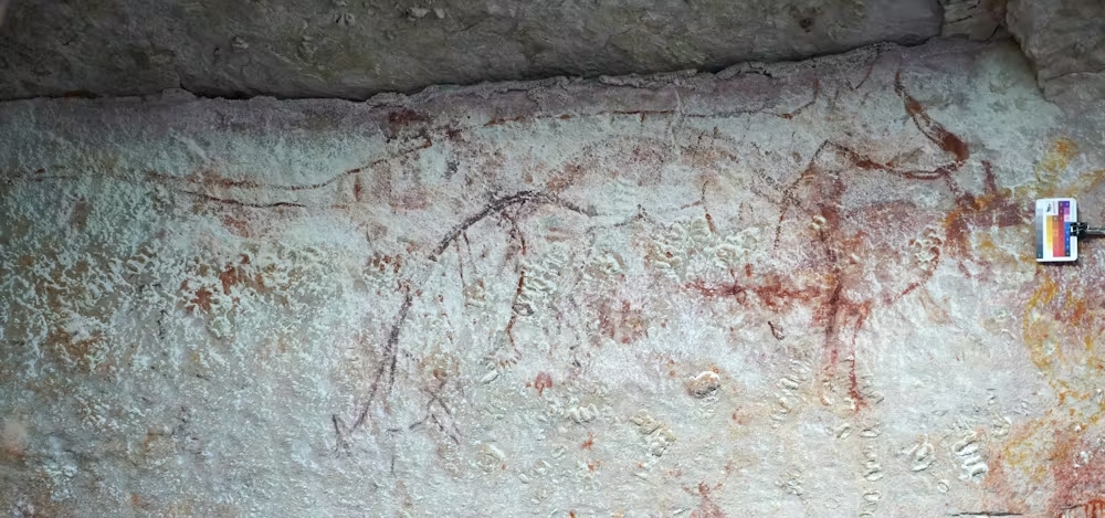 Archeologų atradimas Australijoje sukrėtė mokslą: tasmanniniai „tigrai“ gyveno daug ilgiau