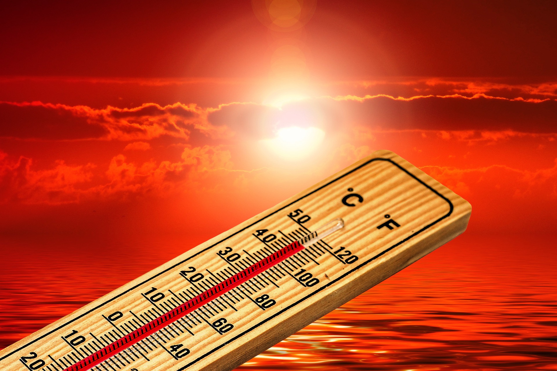 Mokslininkai atkapstė 56 mln. metų senumo klimato šoką: ką jis žada mums šiandien