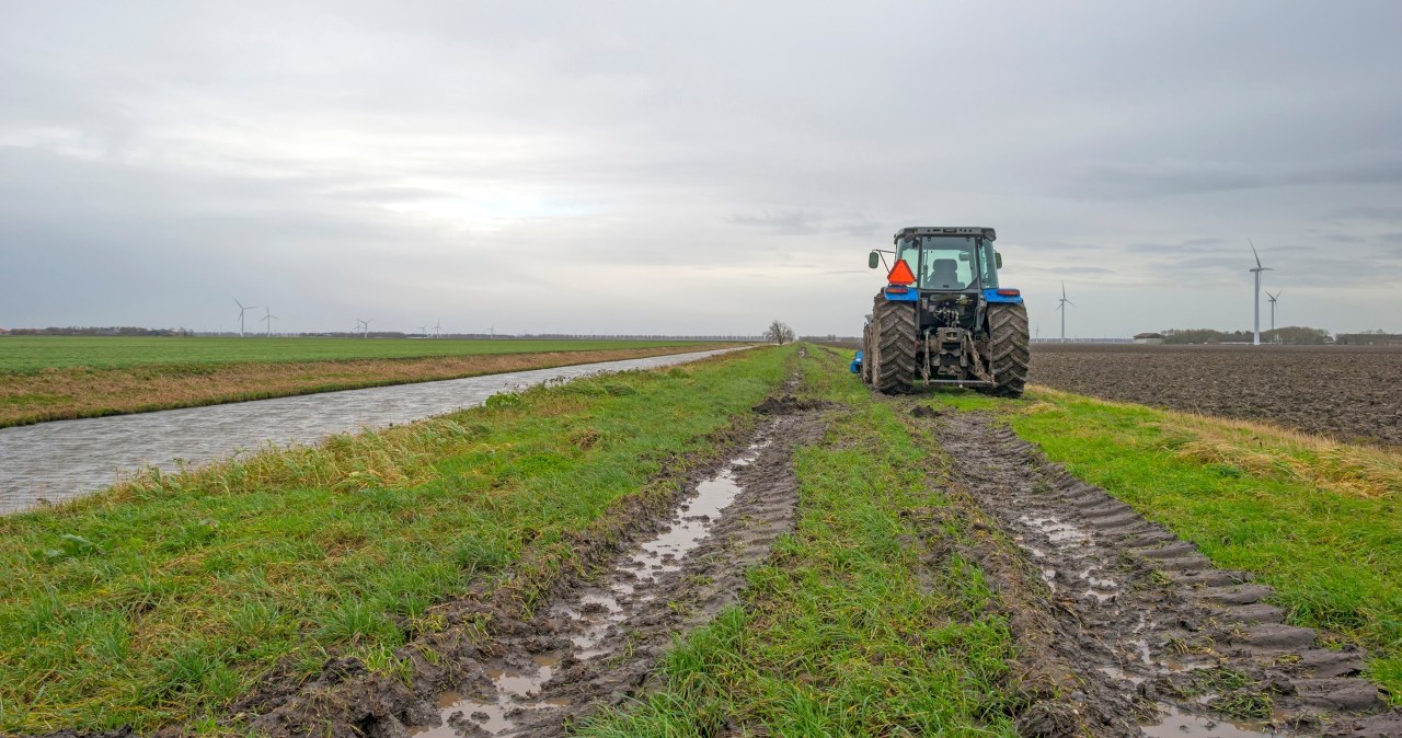 Lenkišką rinką užplūdę pigūs baltarusiški MTZ Belarus traktoriai: kaip tai smogė „Ursus“?