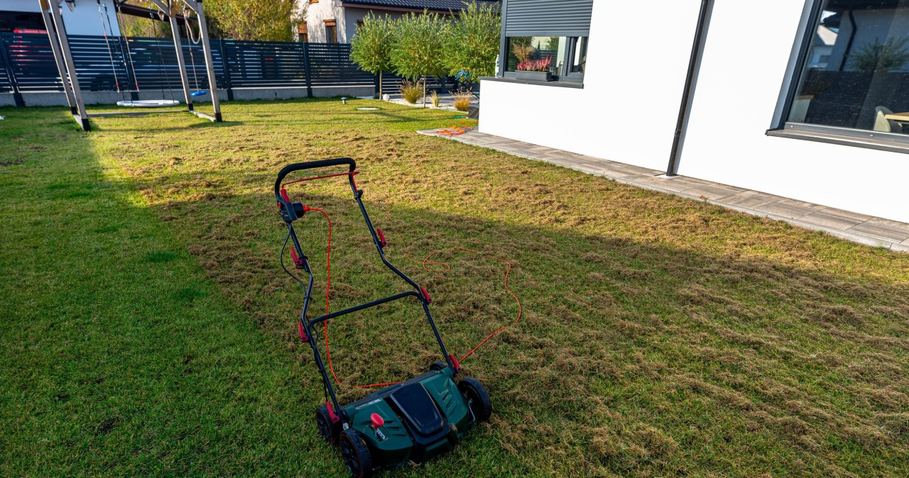Pabarstykite šią pigią priemonę ant vejos: po 2 savaičių plikos dėmės gali išnykti