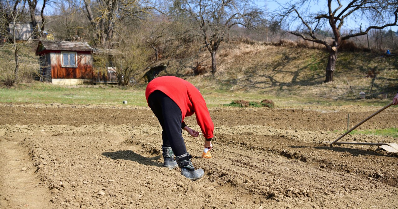Gegužės sodinimai jau ant nosies: 4 žingsniai, kurie paruoš dirvą derliui ir sutaupys laiko
