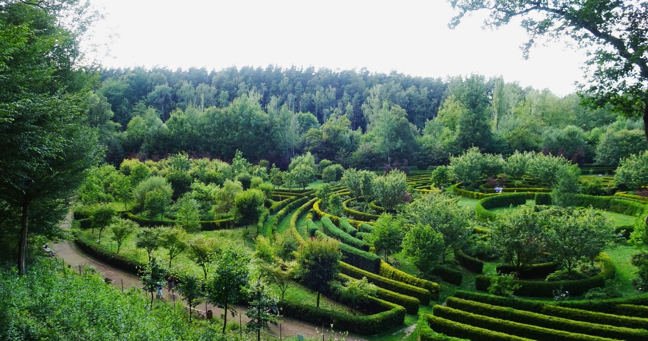 Arboretum Bramy Morawskiej prie Racibórzo: ką pamatyti unikaliajame botanikos sode ir miške