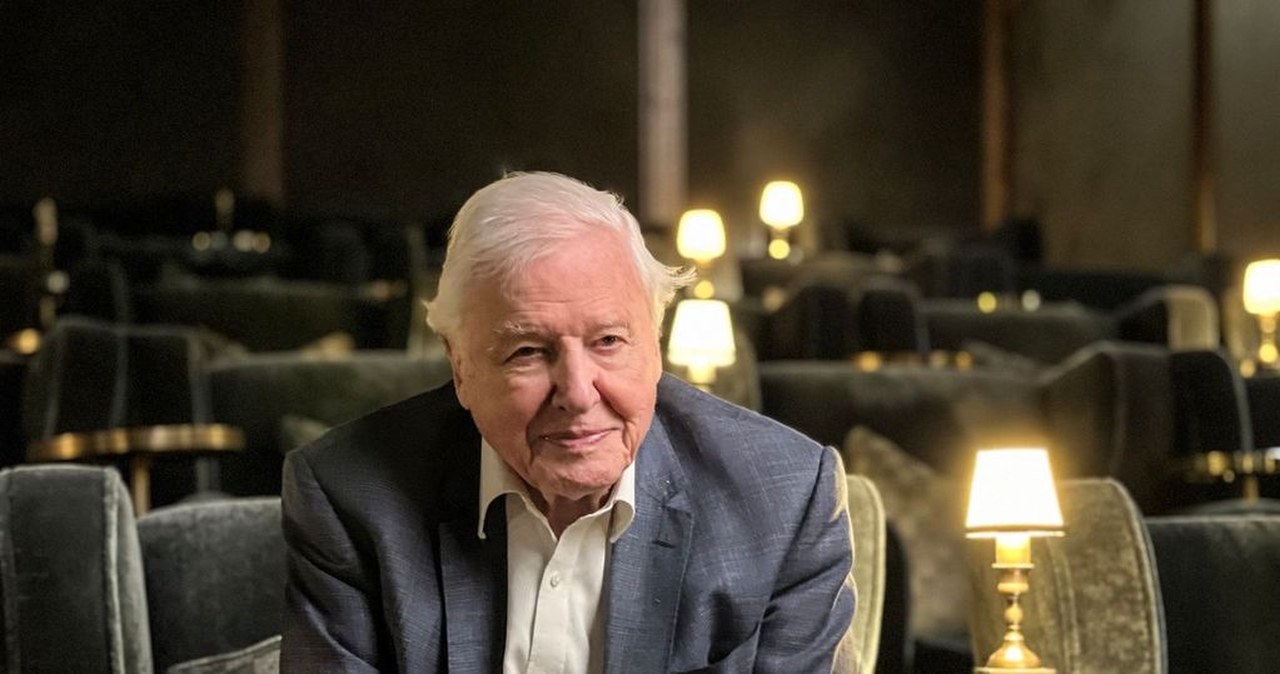 „Lego“ pagerbė Davido Attenborough 100-metį: pakeitė amžiaus ribą ir sujaudino tūkstančius
