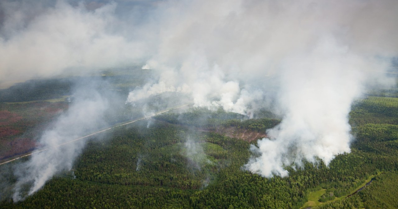 2026-ieji žada katastrofą: nuo Afrikos iki Amazonės liepsnoja rekordai, blogiausia dar priešaky