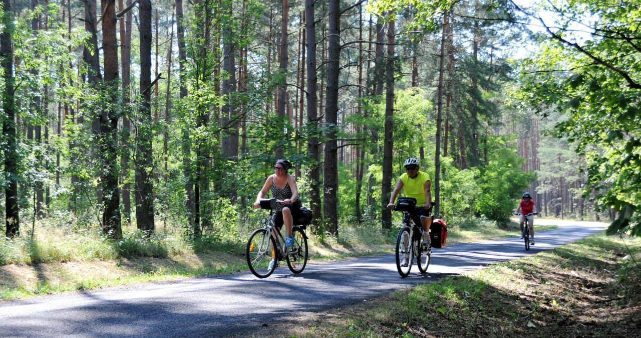Roztocėje planuojama 125 km naujų dviračių trasų: projektui skiriama apie 61 mln. eurų